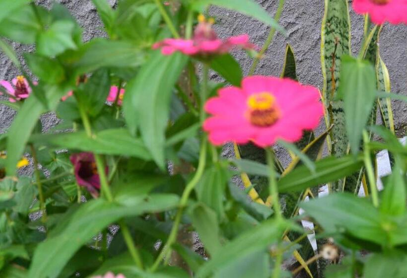 חדר סטנדרט, Sakha House