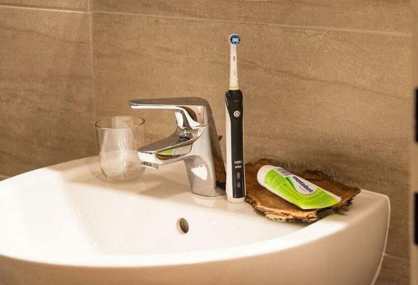 اتاق استاندارد با بالکن, Pension Maislinger