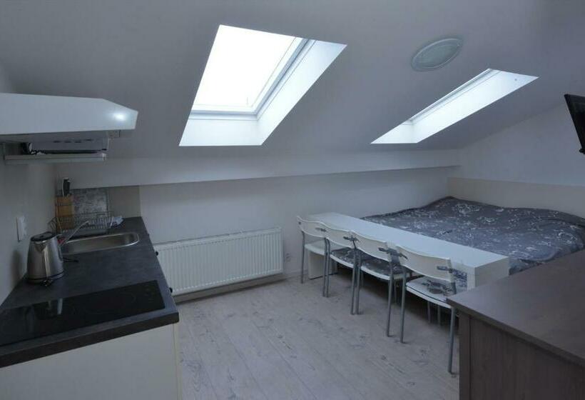 اتاق استاندارد, Wellness Pension Fulda černý Důl