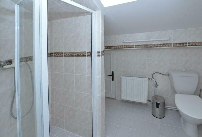 اتاق استاندارد, Wellness Pension Fulda černý Důl