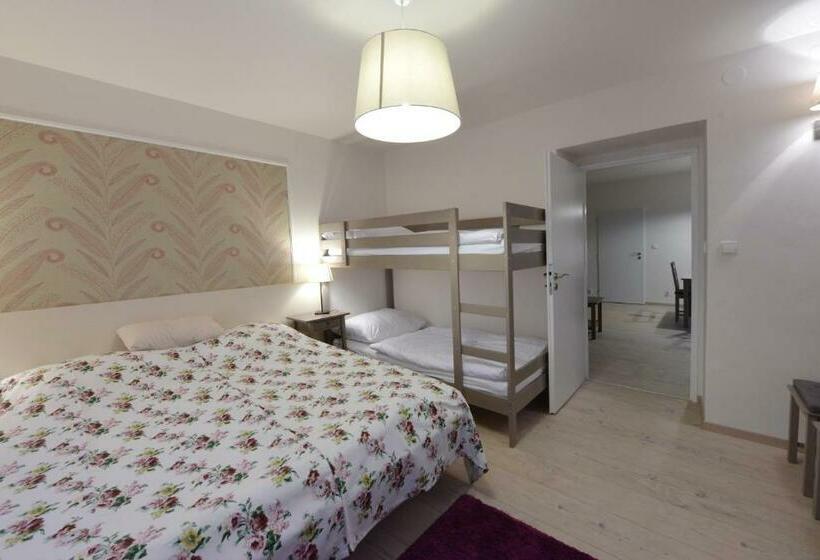 استودیوی استاندارد, Wellness Pension Fulda černý Důl