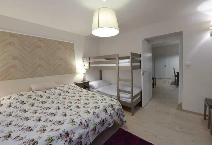 スタンダードスタジオ, Wellness Pension Fulda černý Důl