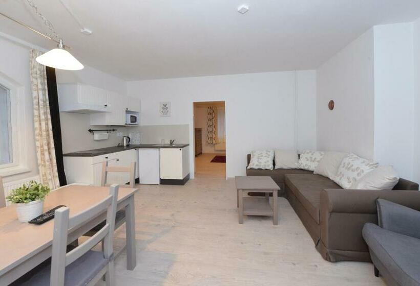 استودیوی استاندارد, Wellness Pension Fulda černý Důl