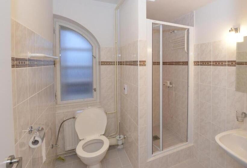 اتاق سوپریور چهار تخته, Wellness Pension Fulda černý Důl