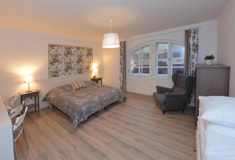 اتاق سوپریور چهار تخته, Wellness Pension Fulda černý Důl