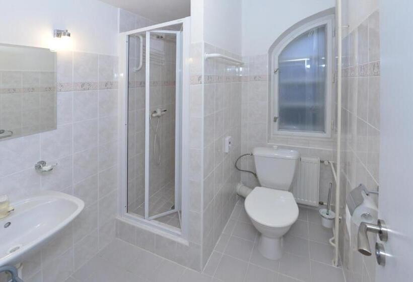 اتاق استاندارد چهار تخته, Wellness Pension Fulda černý Důl