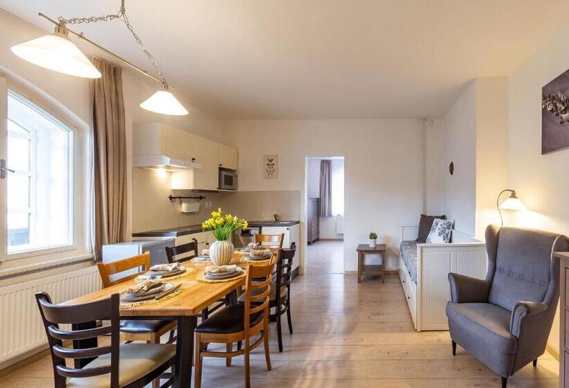 استودیوی استاندارد, Wellness Pension Fulda černý Důl