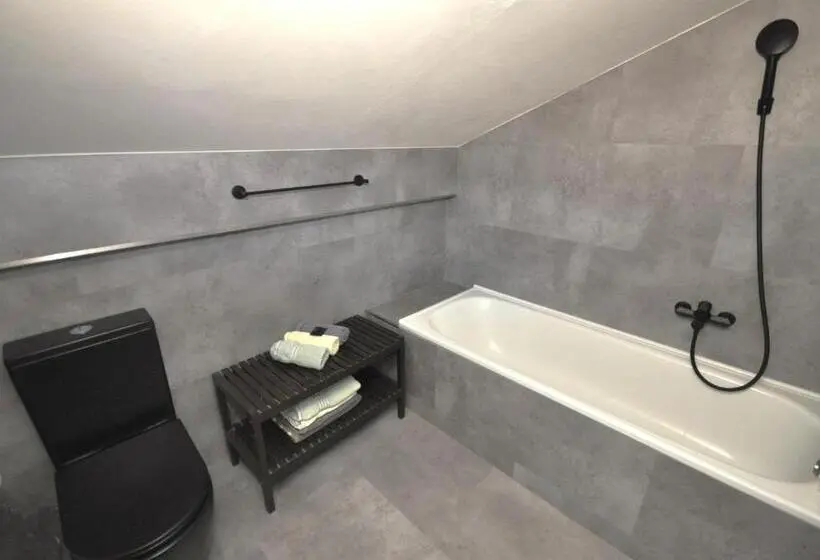 １ベッドルームのデラックスアパートメント, Wellness Pension Fulda černý Důl