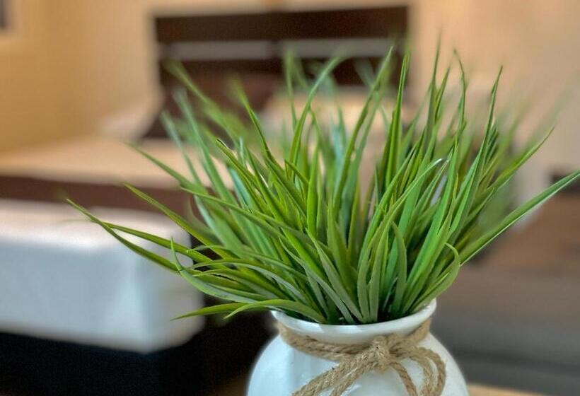 اتاق لوکس, Corazon De Tulum