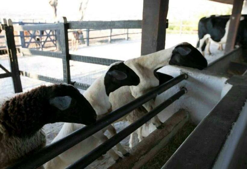 דירת חדר, Apart Hotel Fazenda Monte Castelo   Gravatá