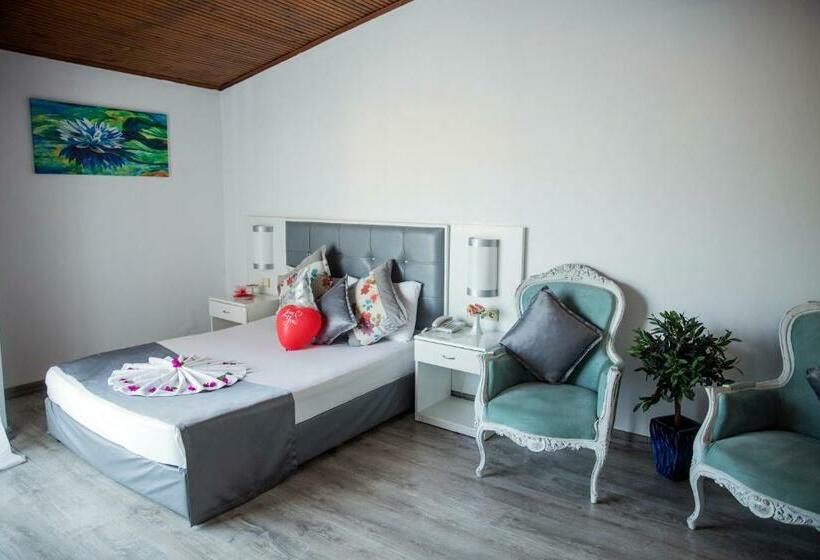 غرفة قياسية, Halıcı Hotel Marmaris