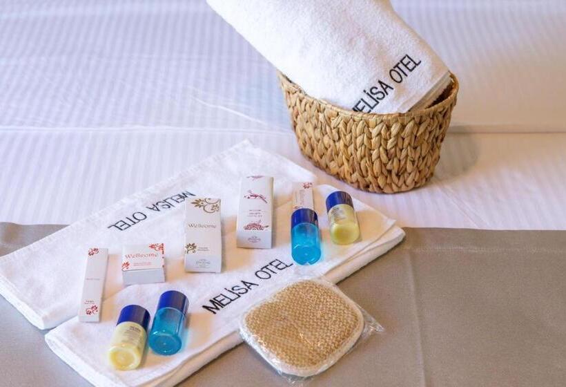 Номер Стандарт Вид на Горы, Melisa Boutique Hotel & Spa