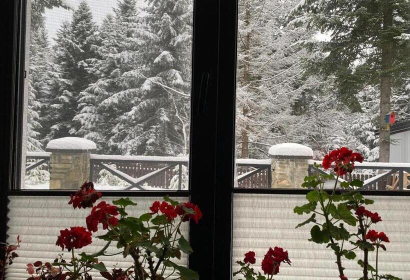 Appartement 1 Chambre, феєрія лісу