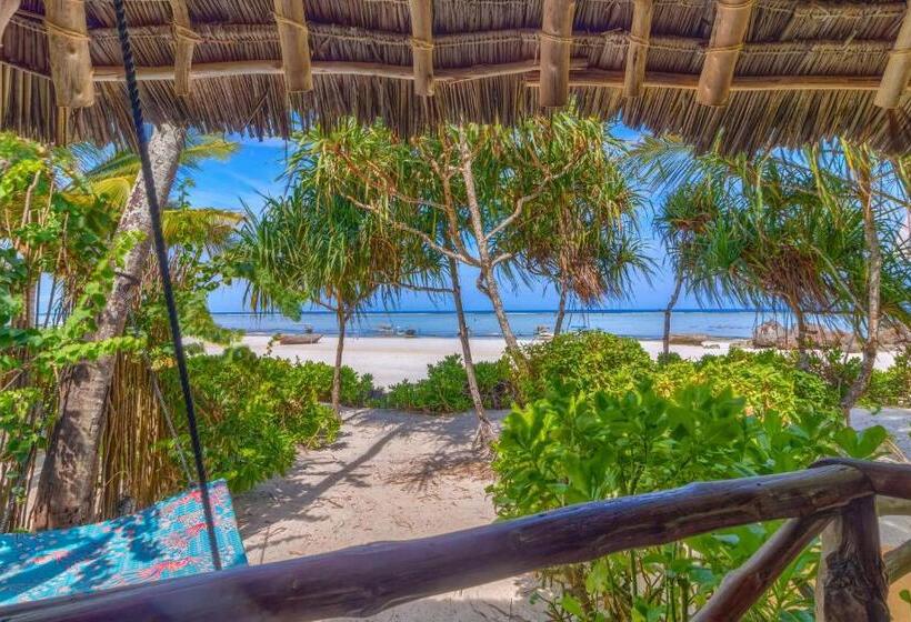 بنجلو قياسى, Sevi Boutique