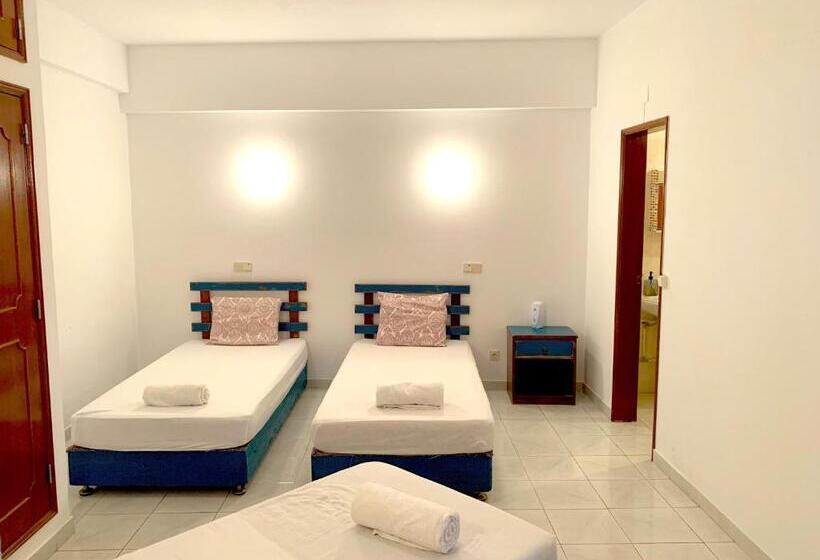 اتاق استاندارد سه نفره, The Central Guesthouse