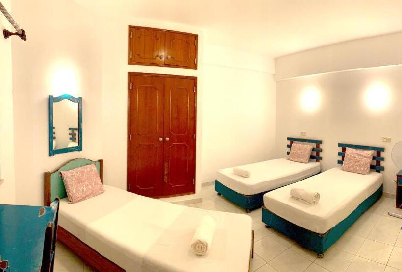 اتاق استاندارد سه نفره, The Central Guesthouse