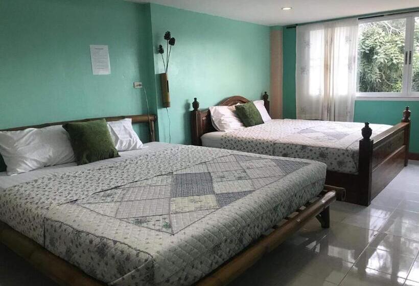 Deluxe-huone, Green Home