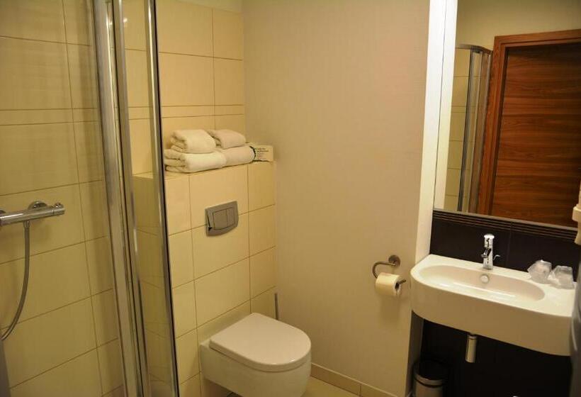 Номер Стандарт, Bazuny Hotel&spa