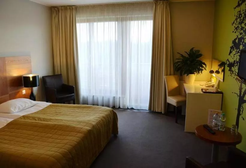 スタンダードルーム, Bazuny Hotel&spa