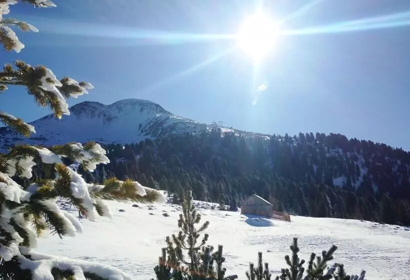 １ベッドルームドゥプレックスアパートメント, Berghotel Jochgrimm   Your Dolomites Home