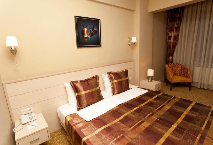 スタンダードルーム, Classes Airport