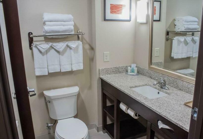 キングサイズベッドのスタンダードルーム, Comfort Inn & Suites Artesia