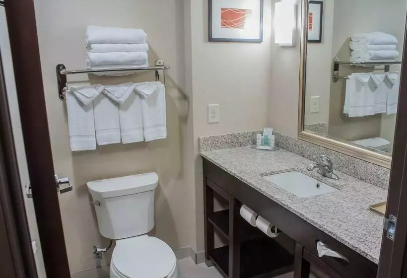 キングサイズベッドのスタンダードルーム, Comfort Inn & Suites Artesia