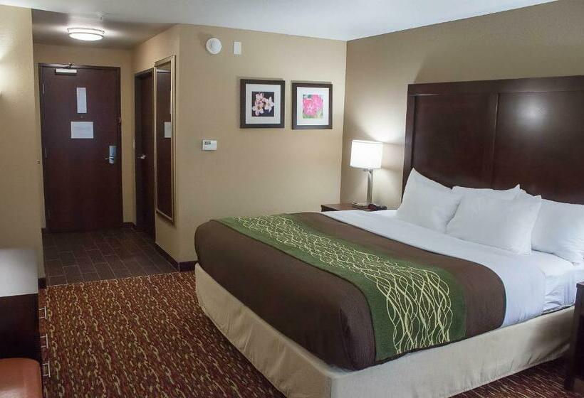 Стандартный Номер Кровать Кинг, Comfort Inn & Suites Artesia