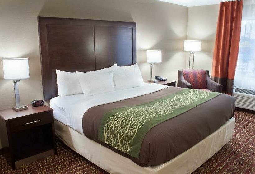 غرفة قياسية سرير كينج, Comfort Inn & Suites Artesia