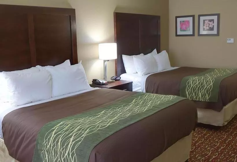 スタンダードルーム, Comfort Inn & Suites Artesia