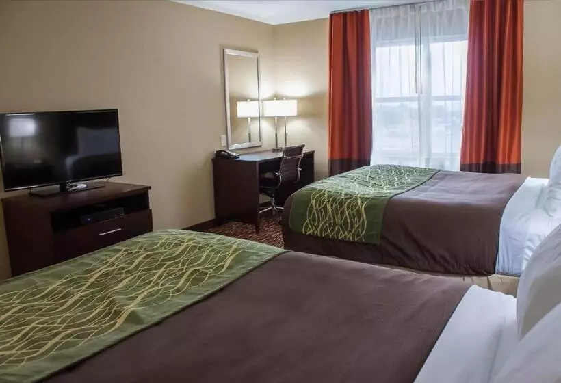 スタンダードルーム, Comfort Inn & Suites Artesia