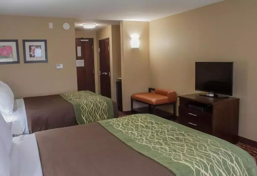 スタンダードルーム, Comfort Inn & Suites Artesia