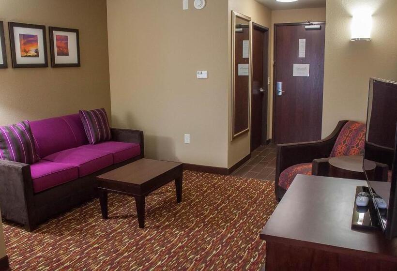 جناح سرير كينج, Comfort Inn & Suites Artesia