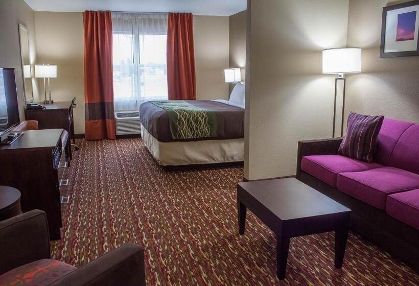 جناح سرير كينج, Comfort Inn & Suites Artesia