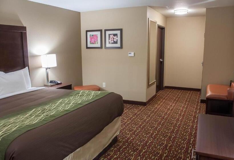 جناح سرير كينج, Comfort Inn & Suites Artesia