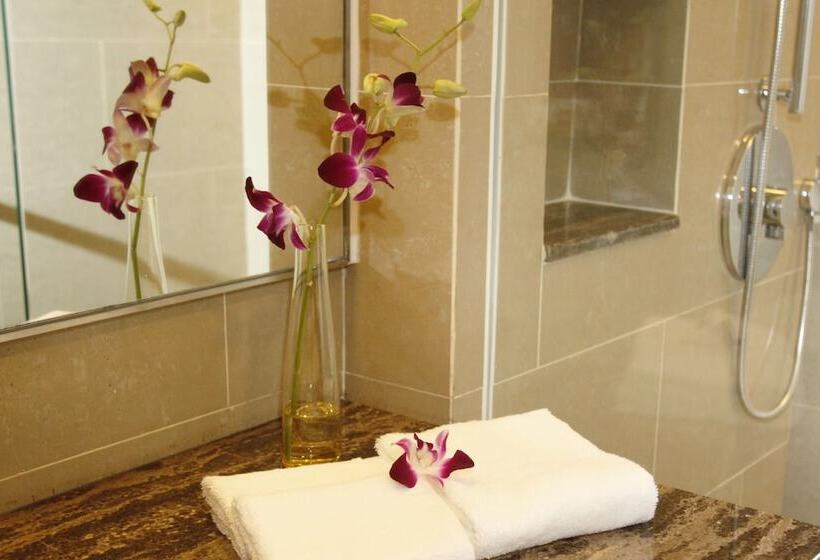 סטודיו דלוקס, Grandis