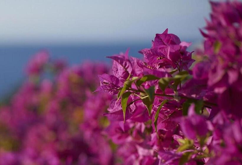 Люкс, Mandarin Oriental Bodrum