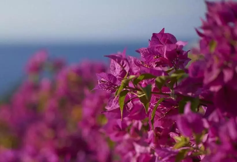 スイート, Mandarin Oriental Bodrum