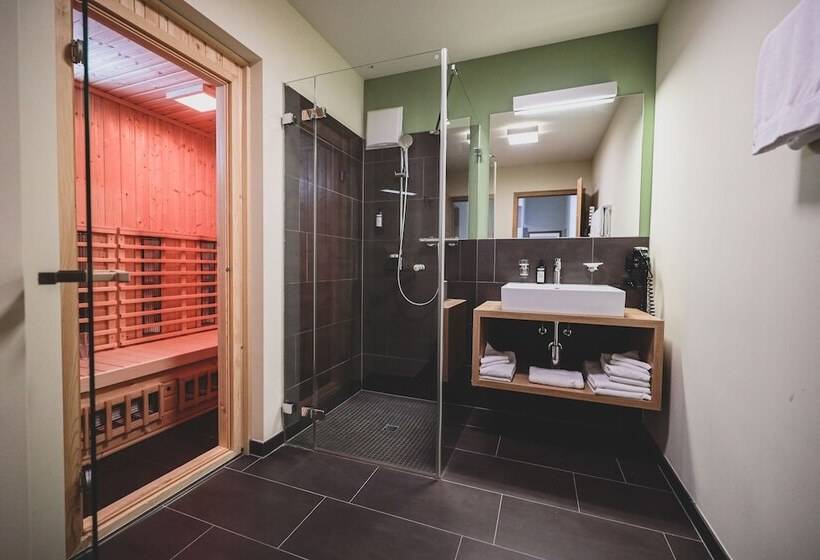 شقة ديلوكس غرفة واحدة, Priva Alpine Lodge Lenzerheide