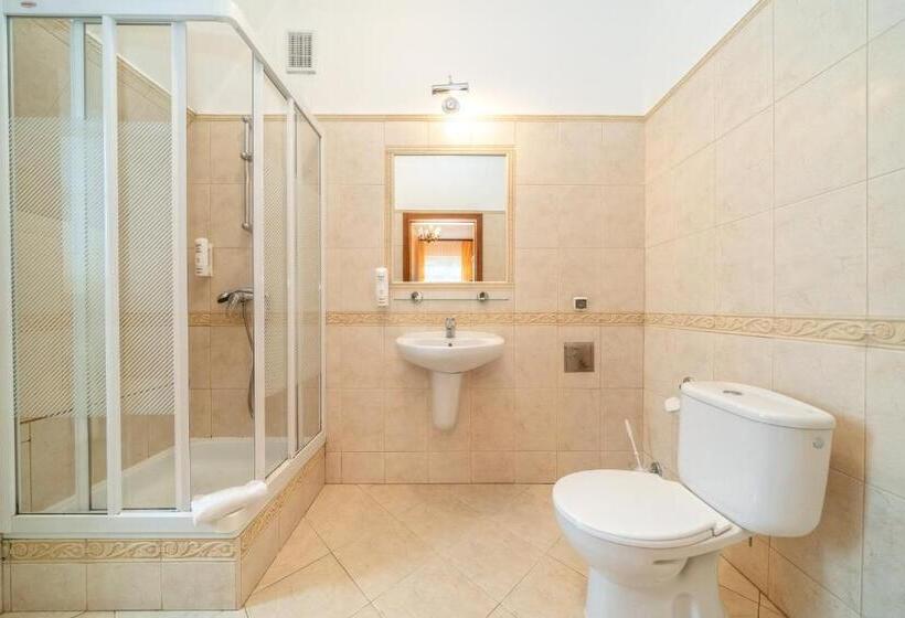 اتاق استاندارد یک نفره, Zespół Dolina Białego   Willa Pan Tadeusz