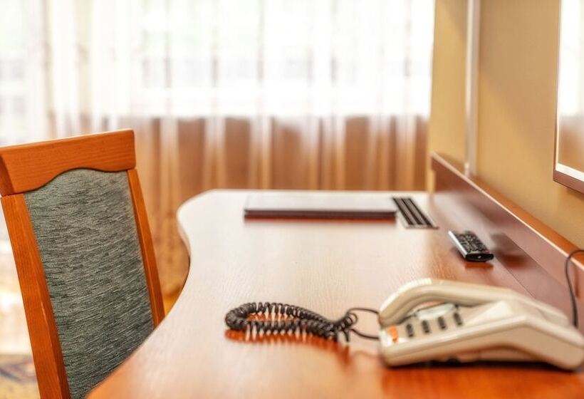 اتاق استاندارد یک نفره, Zespół Dolina Białego   Willa Pan Tadeusz