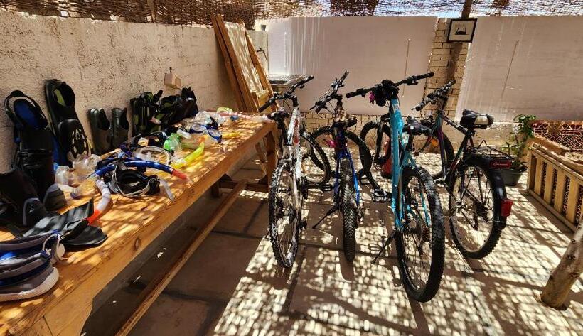 اتاق استاندارد با چشمانداز دریا, Rayhana Guest House