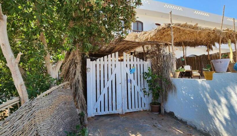 اتاق استاندارد یک نفره با چشم‌انداز دریا, Rayhana Guest House