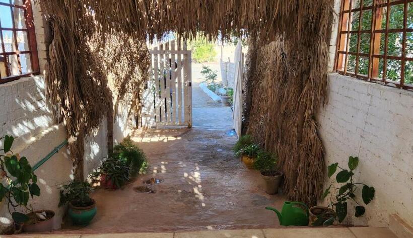 اتاق استاندارد با چشمانداز دریا, Rayhana Guest House