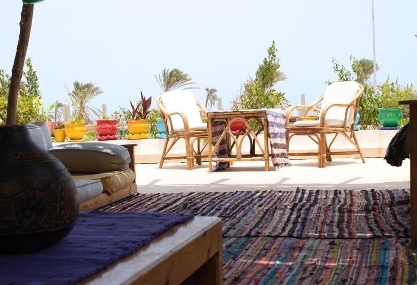 اتاق استاندارد یک نفره با چشمانداز دریا, Rayhana Guest House