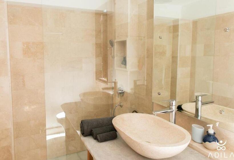 经济房, Adila Bali