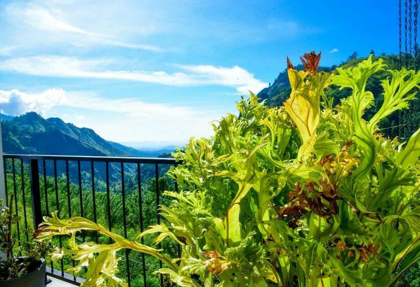 标准间带山景, Seven Heaven