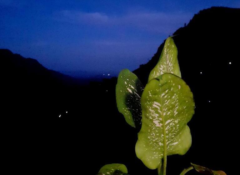 اتاق استاندارد با چشم‌انداز کوهستان, Seven Heaven
