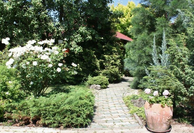 اتاق استاندارد, Aranykert Vendégház