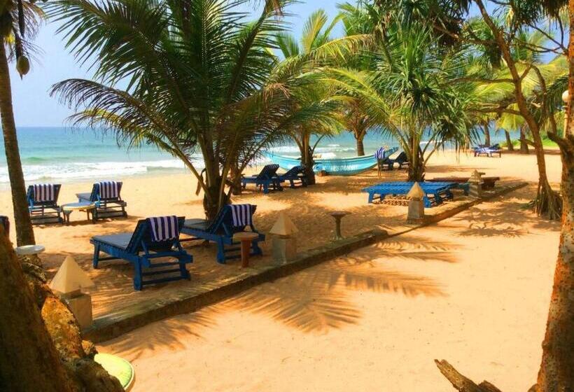 Chambre Supérieure Individuelle Vue Mer, Oasey Ayurveda